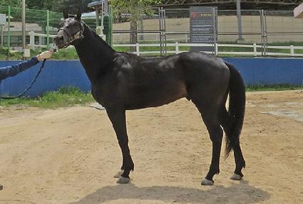 â���Ǳ�� ����