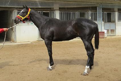 ��´�Ŭ���� ����