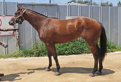 ������ ����