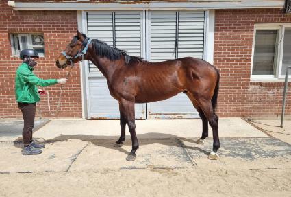 �׿����� ����