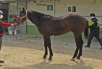 ��������� (HERO JEONSA) ����