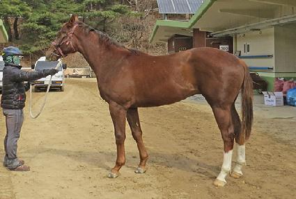 ��Ƽŷ ����