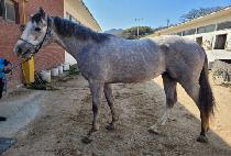 ����ŷ�� (DOCTOR KINGDOM) ����