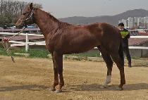 ����Ʈ����� (LIGHT A BLUE) ����