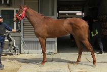 õ��ê (CHEONHAENGCHAT) ����