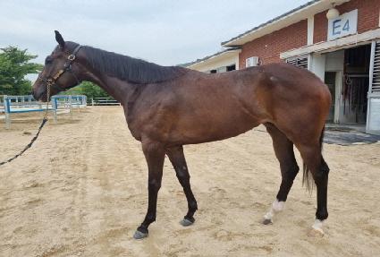 ��� ����