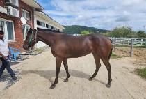 �׿Ƚ�Ƽ (NEOM CITY) ����