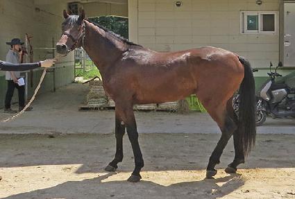 �̱����� ����