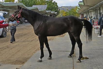 �Źٶ� ����