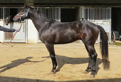 �Ŀ����� ����