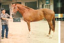 �ֿ� (AE WOL) ����