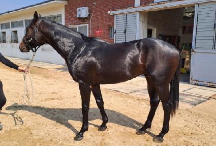 ���̿��� ����