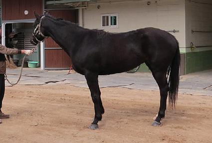 ���ʷ��Ŀ� ����