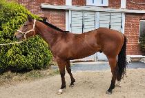 ���ѿ��� (KWAEHAN YEONGUNG) ����