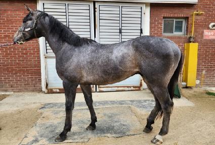 ũ������� ����