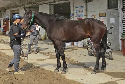 ���۵�� ����