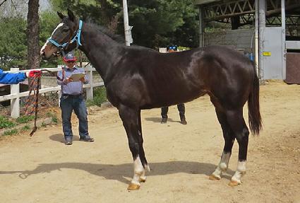 ����Ǯ�н� ����