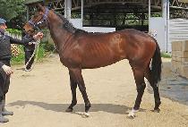 ���ǵ�� (SPEED ONE) ����