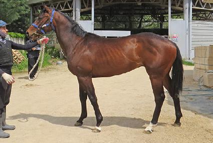 ���ǵ�� ����