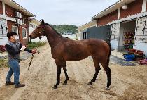 ����Ǯ���� (WONDERFUL FORTUNE) ����