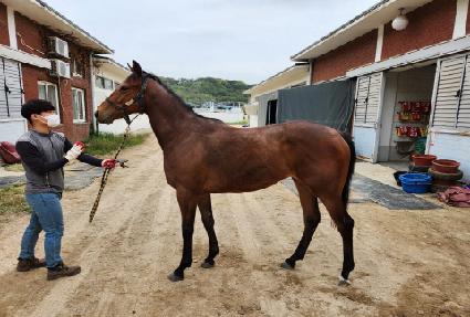 ����Ǯ���� ����