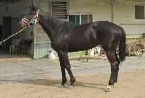 ����Ǯ��ŷ (WONDERFUL SEEKING) ����