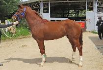 ��并ġ (GOLD MUNGCHI) ����