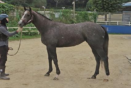 ��ī�� ����