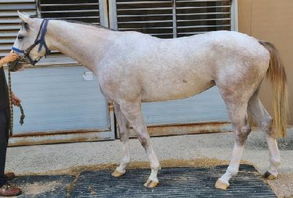 �м� ����