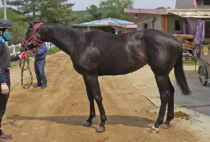 �ູ�ѽ��� ����