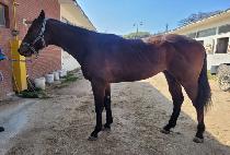 ����콺 (MORPHEUS) ����