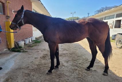 ����콺 ����