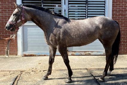 õ�ϰǰ� ����