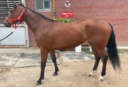 �Ѹ� ����