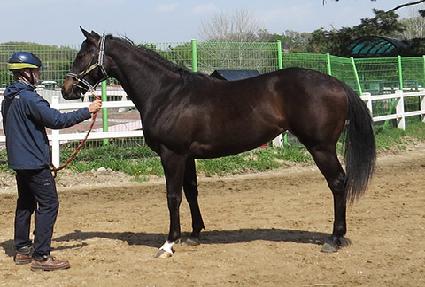 ���ڷ����� ����