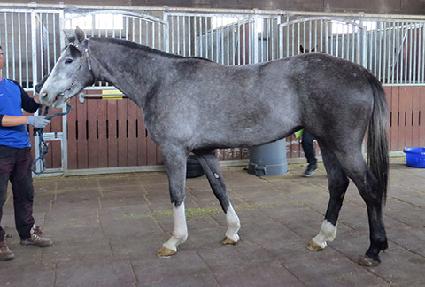 �ǿ��������� ����