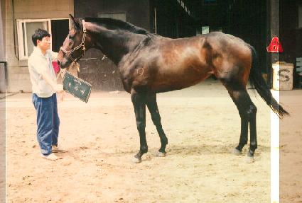 ����� ����