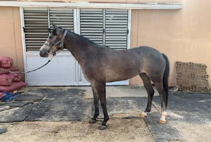 ���̼����� ����