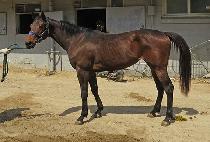 �����̽�Ÿ�� (SPACE TIME) ����