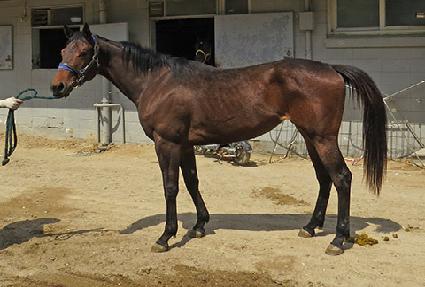 �����̽�Ÿ�� ����