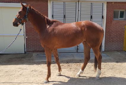 ����Ʈ�� ����