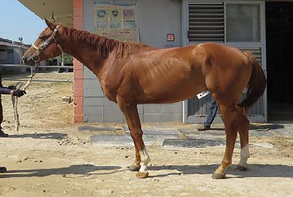 ����̳� ����