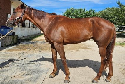 ��ī�̷ε� ����