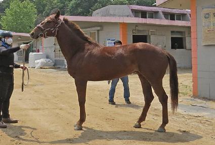 ���ø�Ʈ��Ƽ ����