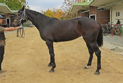 ���϶���� ����