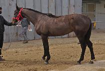 ���纰 (MARUBYEOL) ����