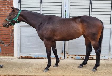 �帲Ʈ�� ����