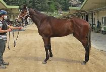 �д羲���� (BUNDANG TSUNAMI) ����