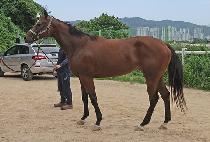 �긮�������� (BREEDO MAGICIAN) ����