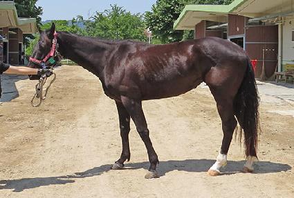 �Ѱ��־� ����